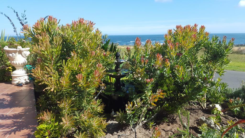 Whaler'S Point Ξενοδοχείο Kleinmond Εξωτερικό φωτογραφία