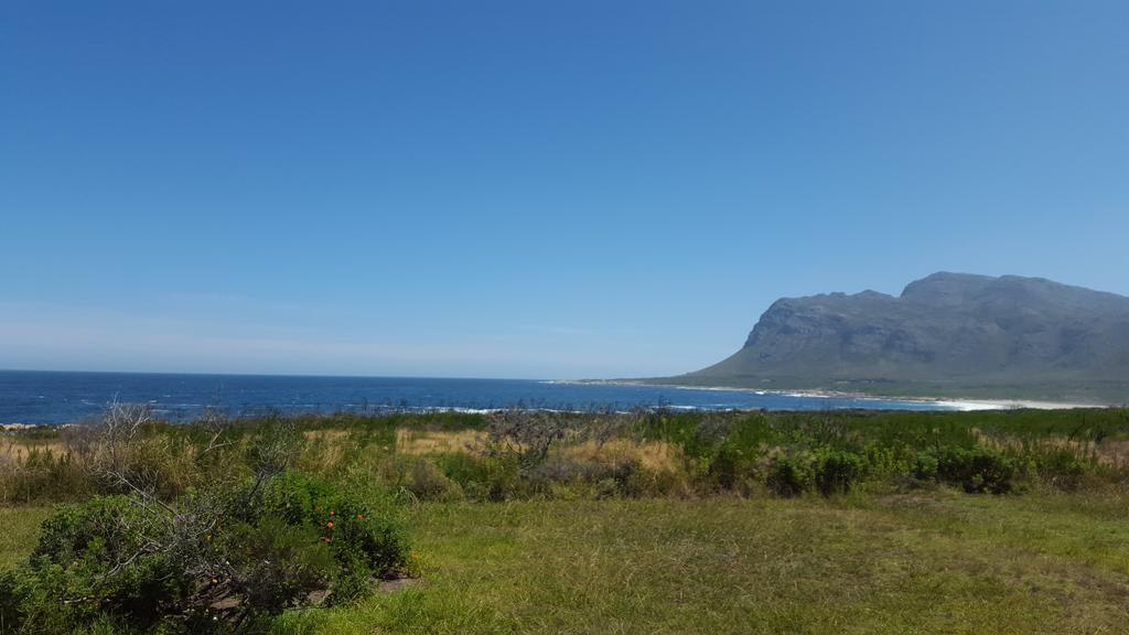 Whaler'S Point Ξενοδοχείο Kleinmond Εξωτερικό φωτογραφία